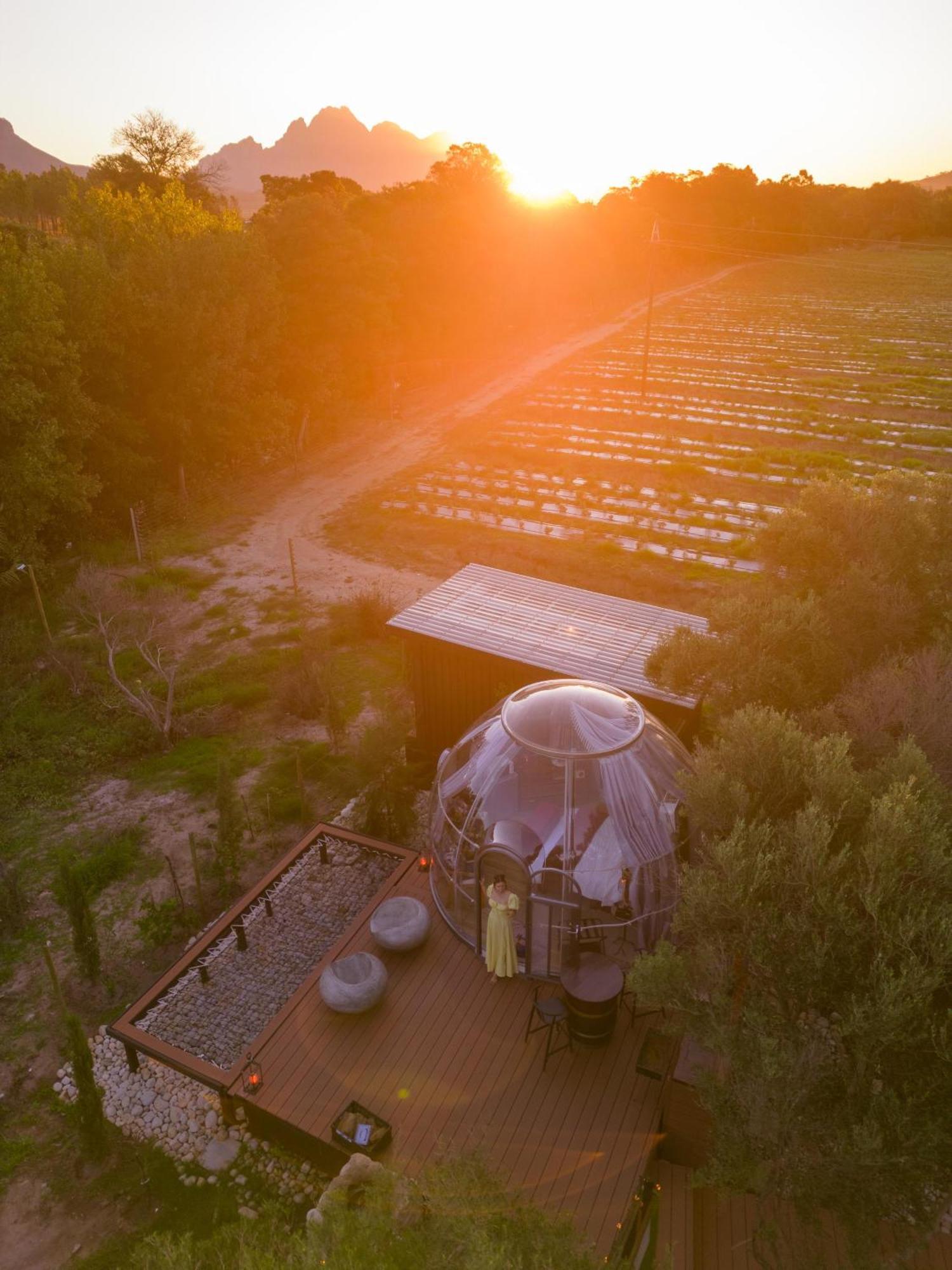 The Vino Dome By Once Upon A Dome Franschhoek Exteriér fotografie